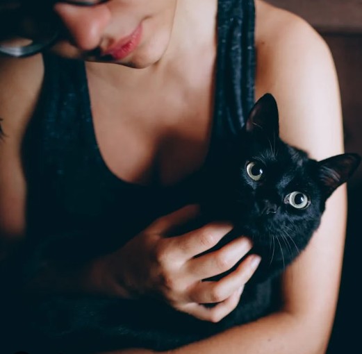 Foto de uma pessoa com seu pet